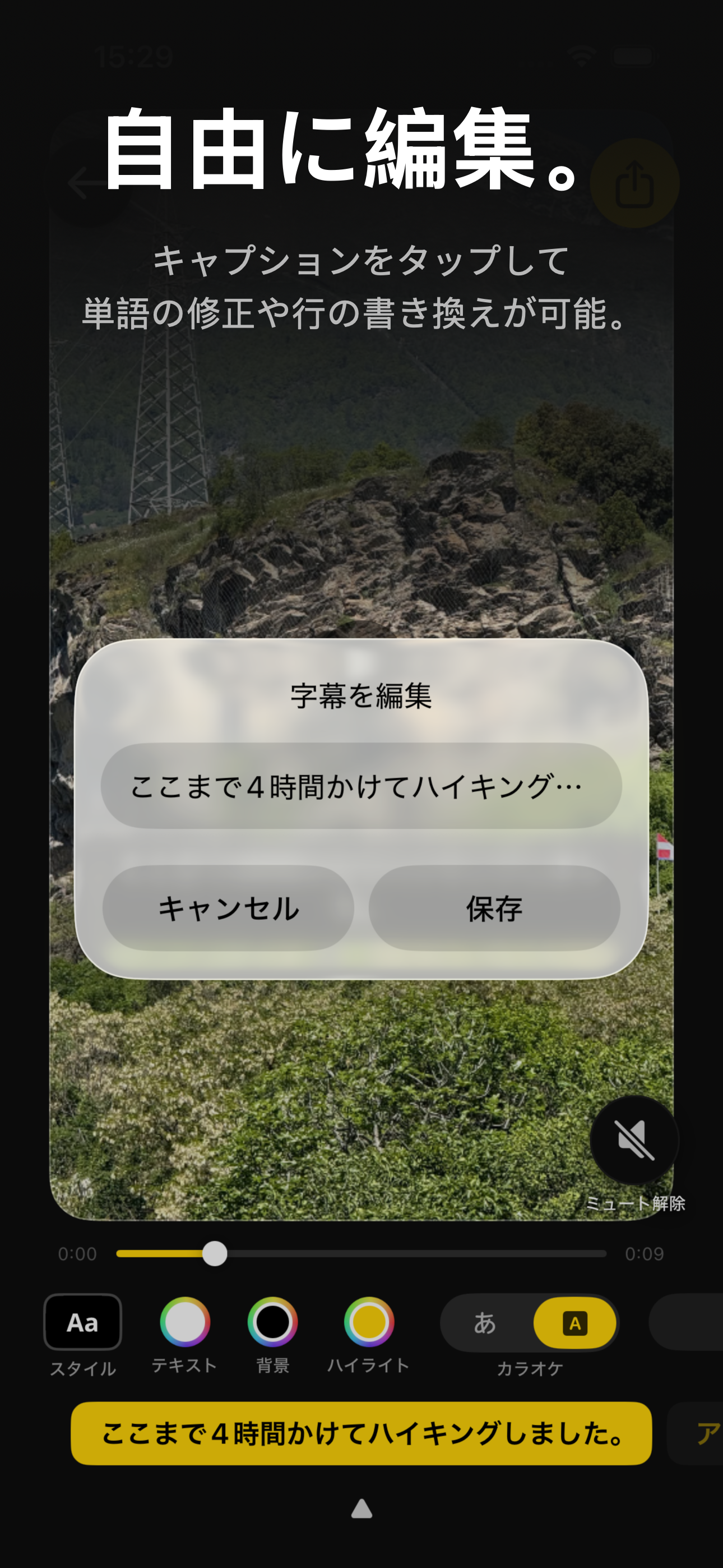 Video Captions — 字幕を編集