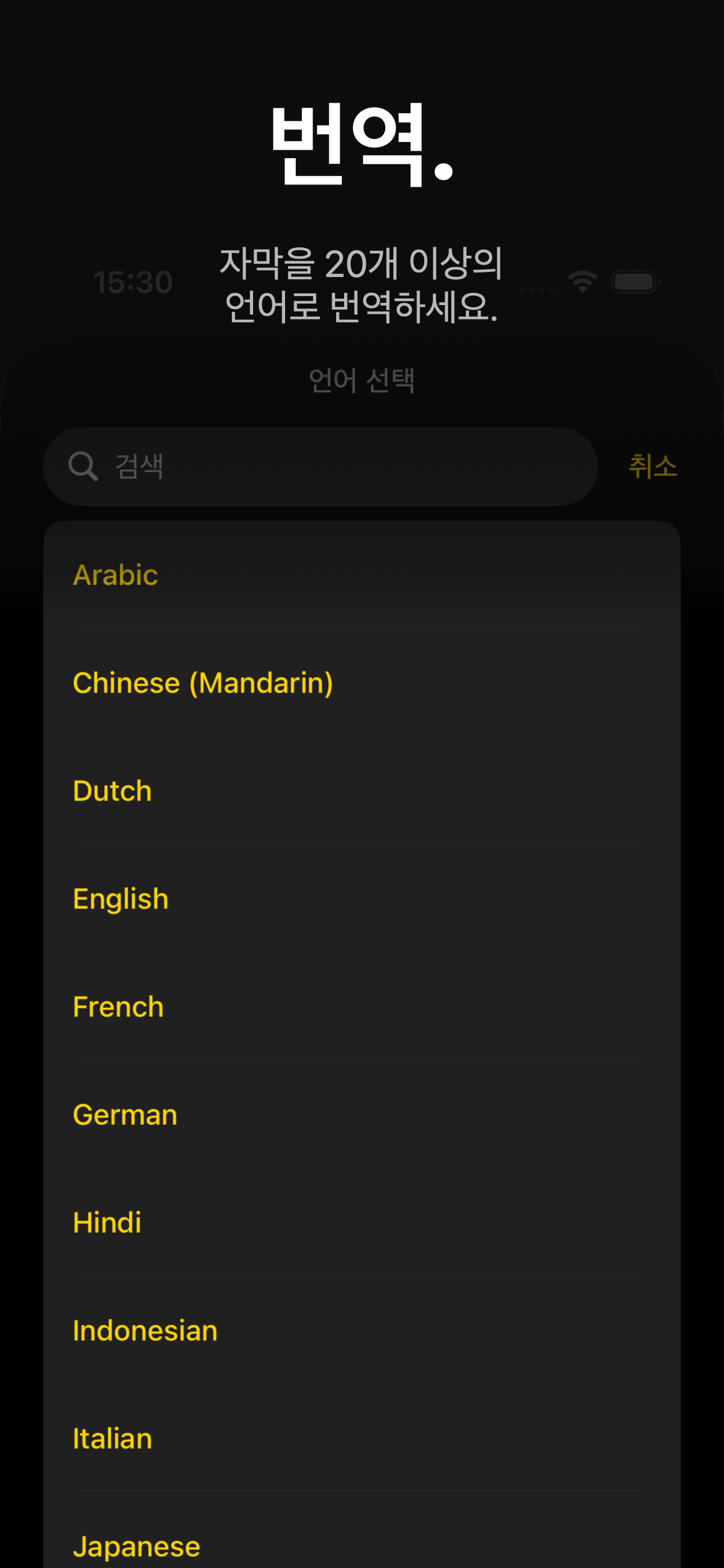 Video Captions — 자막 번역