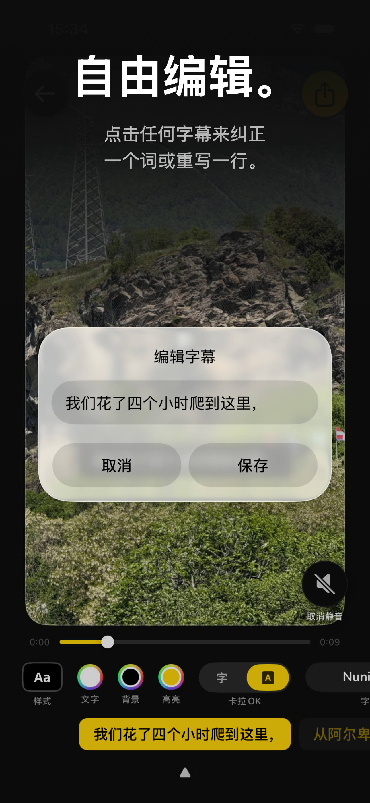 Video Captions — 编辑字幕